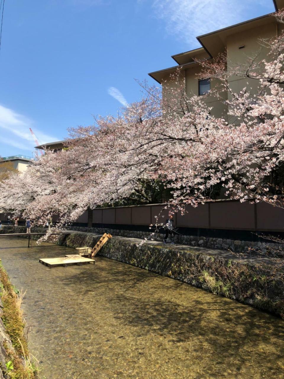 Rinn Heian Shirakawa Kyoto Exteriör bild