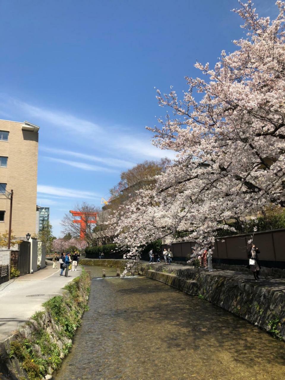 Rinn Heian Shirakawa Kyoto Exteriör bild